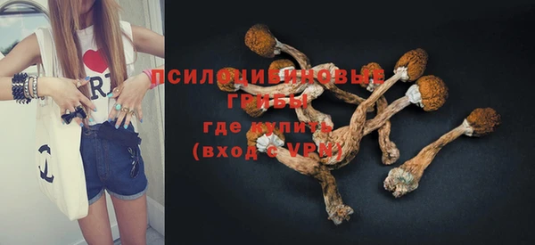мескалин Алексин