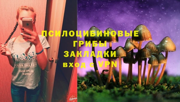 мескалин Алексин