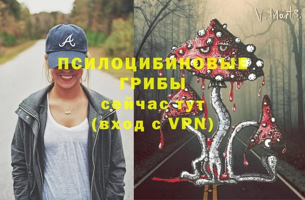 прущие крисы Алексеевка