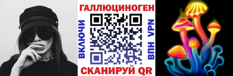 omg tor  купить  сайты  Ейск  Галлюциногенные грибы Psilocybe 