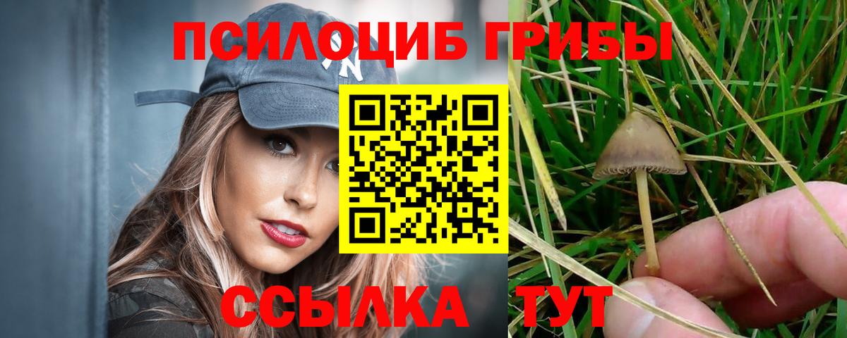 Псилоцибиновые грибы ЛСД Ейск