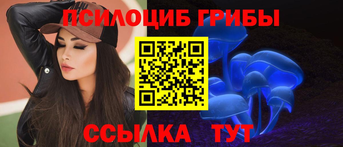 Ейск  Псилоцибиновые грибы Psilocybine cubensis  Вход с VPN 